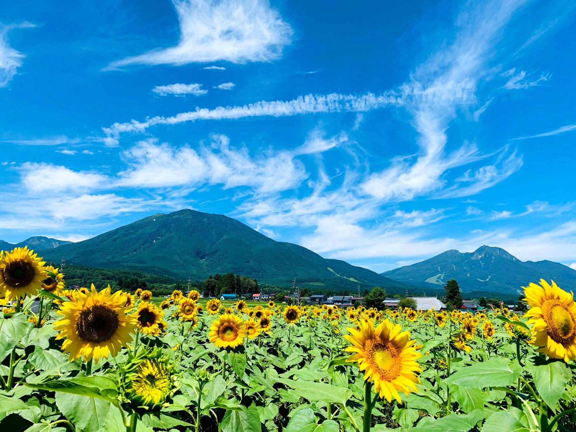 Villa Labo Land Kurohime Shinano  Exterior foto